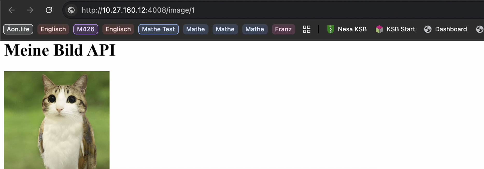 alt text